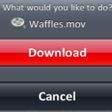 Cydia Store: Safari Download Manager